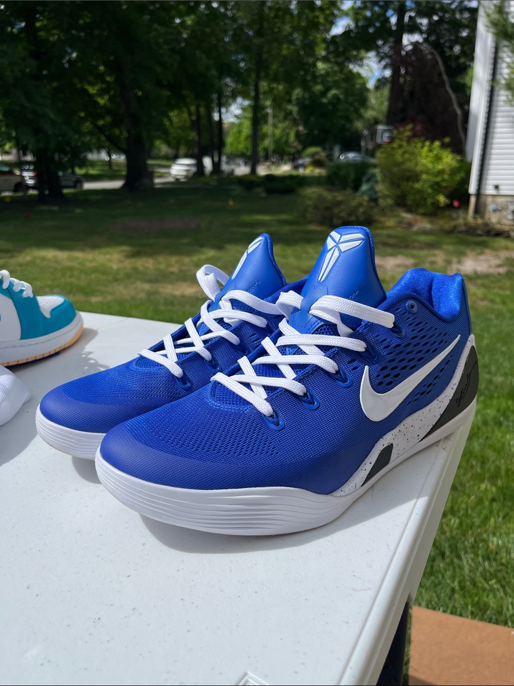 Nike Royal Blue Basketball Sneakers with White Swoosh